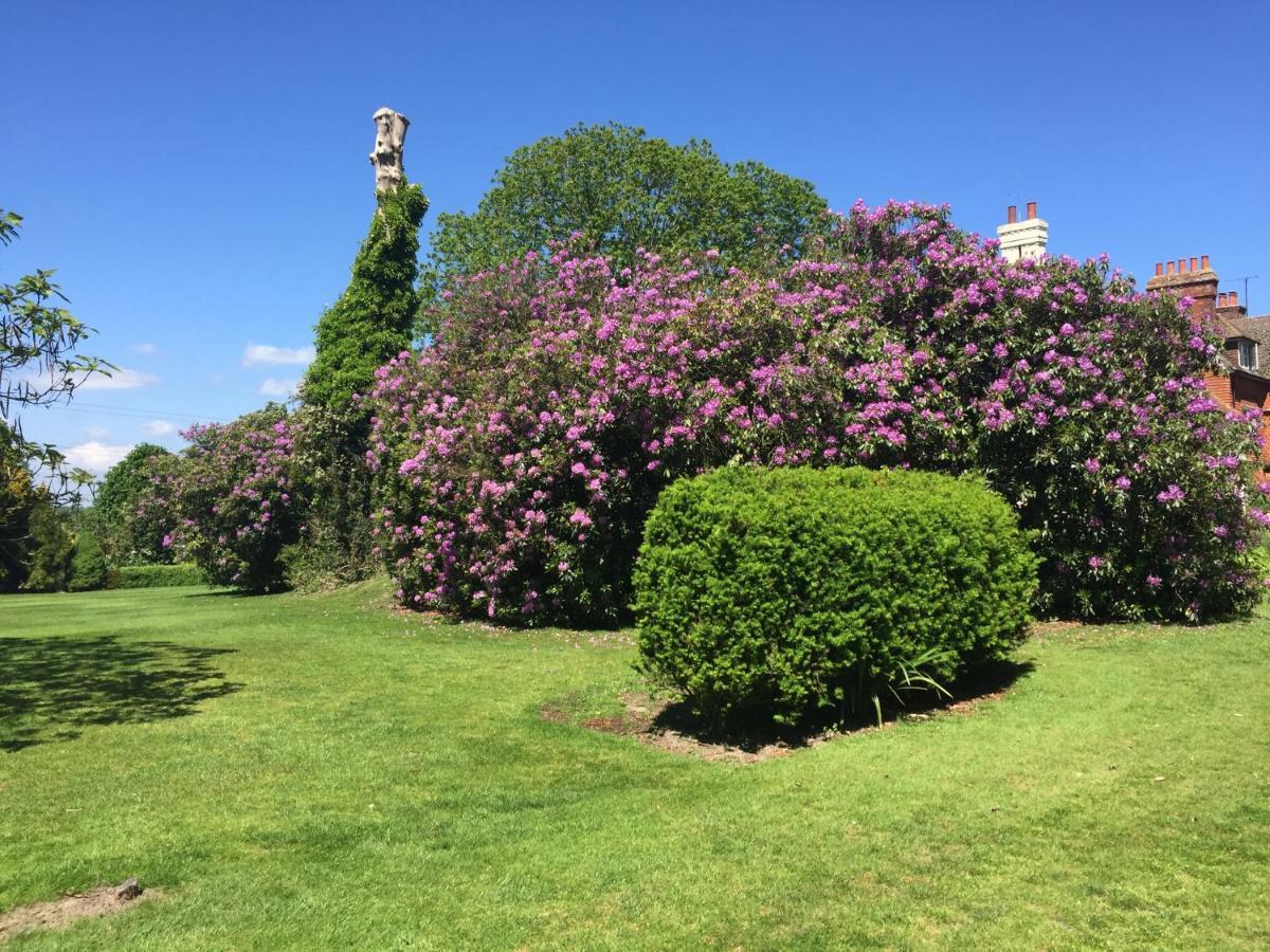 Wartling Place Country House Esterno foto